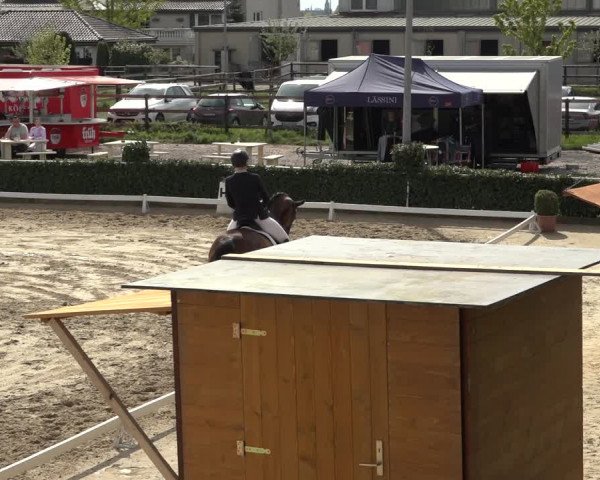 Reitturnier Bornheim Widdig 2023