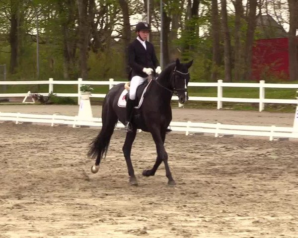 Reitturnier Dressurturnier Mildstedt 2023