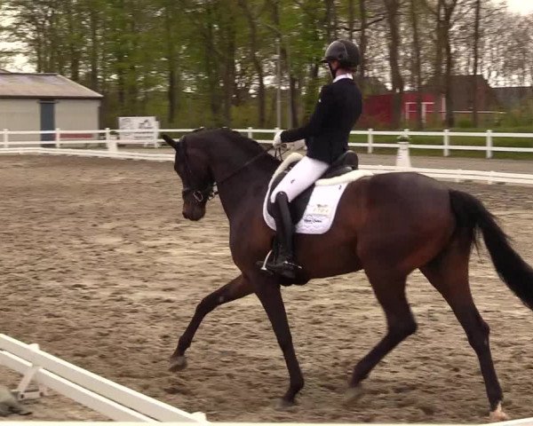 Reitturnier Dressurturnier Mildstedt 2023