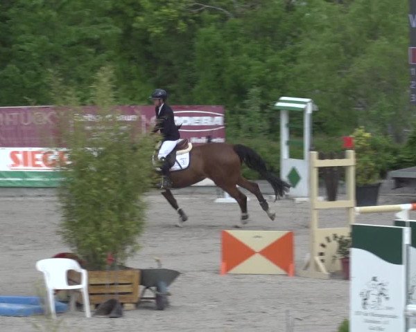 Reitturnier Monheim - Gut Blee 2023