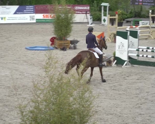 Reitturnier Monheim - Gut Blee 2023