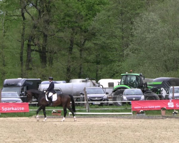 Reitturnier Dinslaken-Hiesfeld 2023