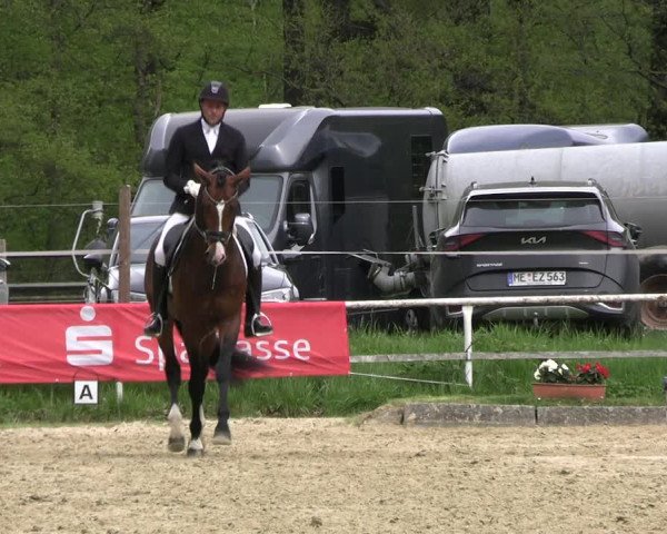 Reitturnier Dinslaken-Hiesfeld 2023