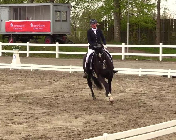 Reitturnier Dressurturnier Mildstedt 2023