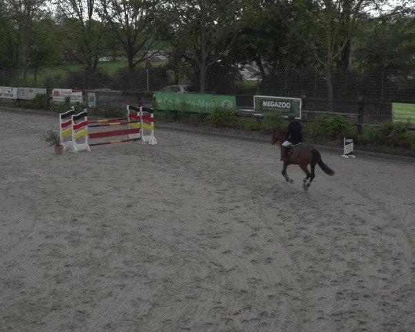 Reitturnier Monheim - Gut Blee 2023