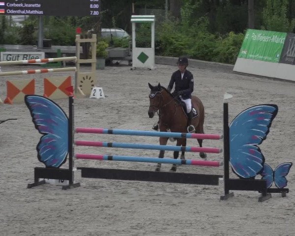 Reitturnier Monheim - Gut Blee 2023
