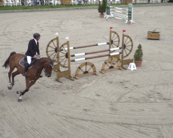 Reitturnier Monheim - Gut Blee 2023