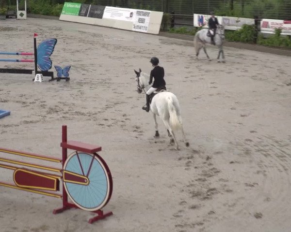 Reitturnier Monheim - Gut Blee 2023
