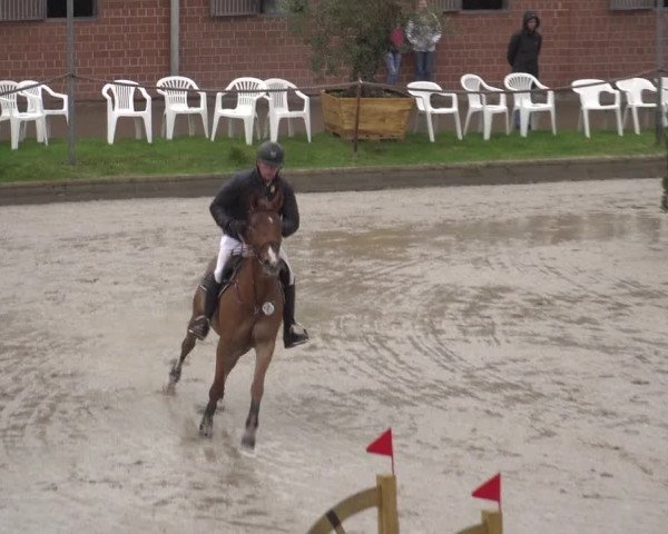 Reitturnier Monheim - Gut Blee 2023