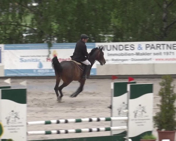 Reitturnier Monheim - Gut Blee 2023
