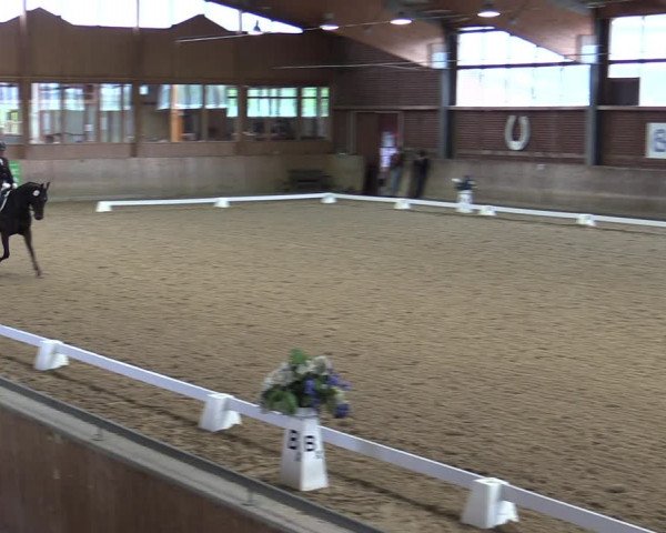 Reitturnier Köln-Leverkusen 2023