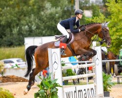 broodmare Cira 68 (German Sport Horse, 2012, from Stolzenberg)