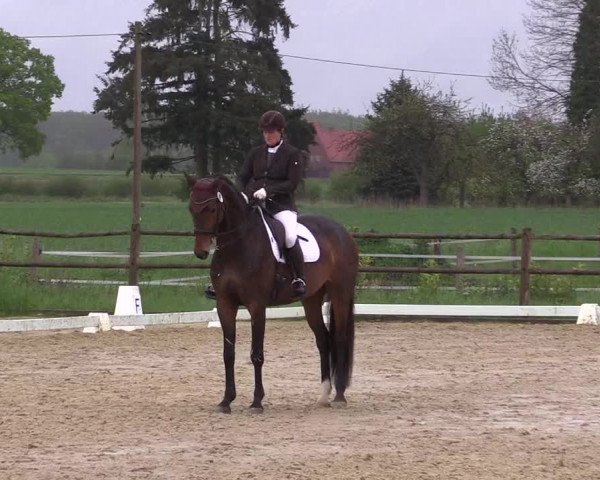 Reitturnier Warendorf 2023