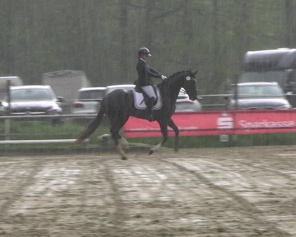 Reitturnier Dinslaken-Hiesfeld 2023