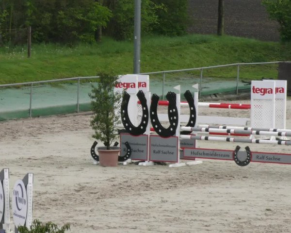 Reitturnier Harsum-Hüddessum 2023