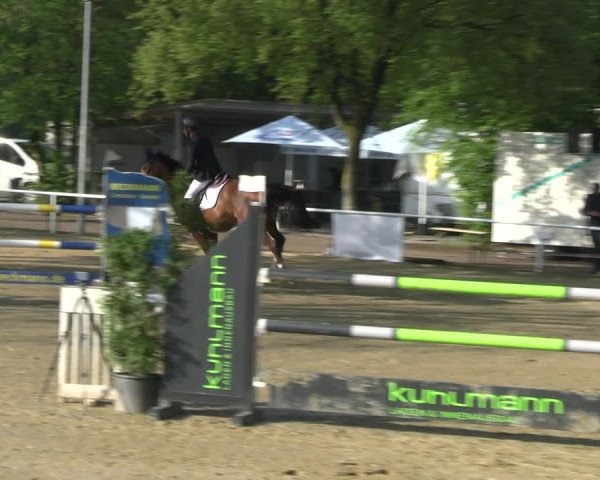 Reitturnier Dinslaken-Hiesfeld 2023