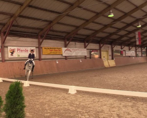 Reitturnier Elisenau 2021