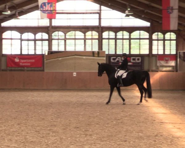 Reitturnier Elisenau 2021