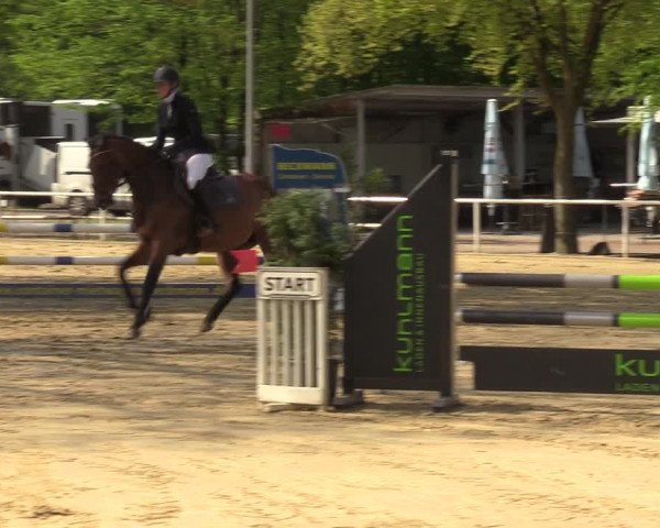 Reitturnier Dinslaken-Hiesfeld 2023