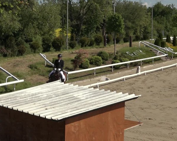 Reitturnier Bornheim Widdig 2023