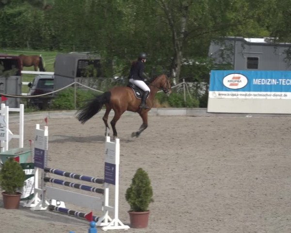 Reitturnier Monheim - Gut Blee 2023