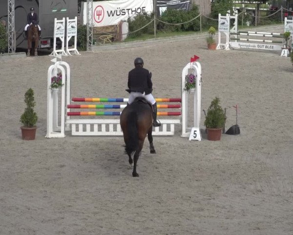 Reitturnier Monheim - Gut Blee 2023