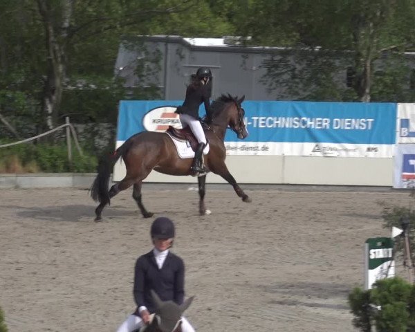Reitturnier Monheim - Gut Blee 2023
