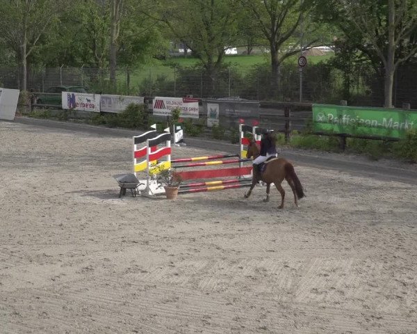 Reitturnier Monheim - Gut Blee 2023