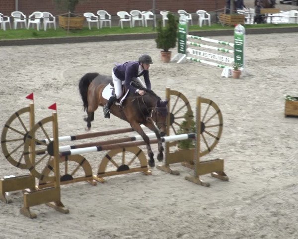 Reitturnier Monheim - Gut Blee 2023