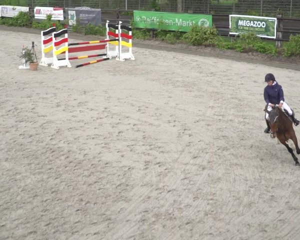 Reitturnier Monheim - Gut Blee 2023