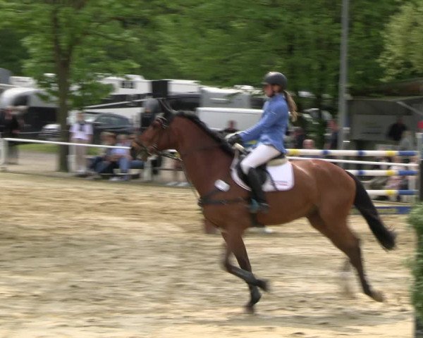 Reitturnier Dinslaken-Hiesfeld 2023