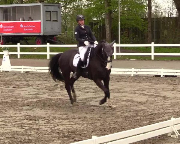 Reitturnier Dressurturnier Mildstedt 2023