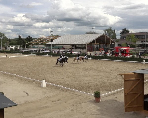 Reitturnier Bornheim Widdig 2023