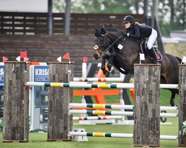 Springpferd Casandra 73 (Westfale, 2011, von Clinton I)