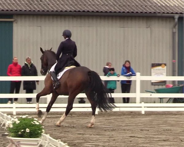 Reitturnier Dressurturnier Mildstedt 2023
