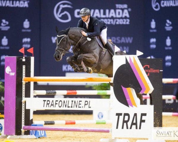 jumper Early Bird Me (Hanoverian, 2014, from Emerald van 't Ruytershof)