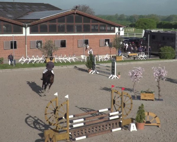 Reitturnier Monheim - Gut Blee 2023