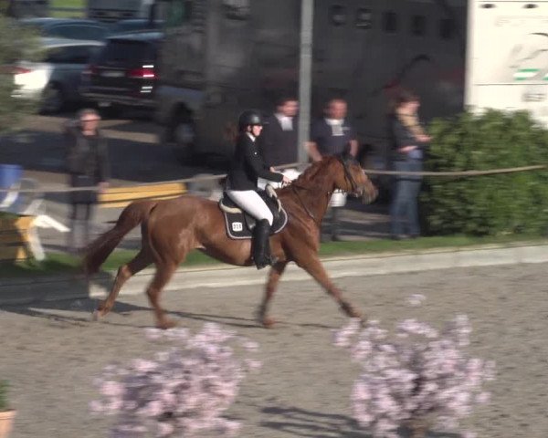 Reitturnier Monheim - Gut Blee 2023