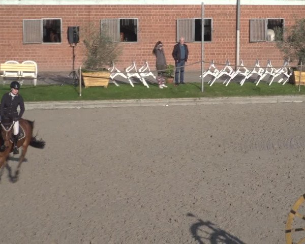 Reitturnier Monheim - Gut Blee 2023