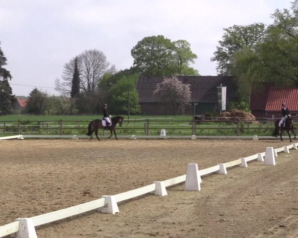 Reitturnier Warendorf 2023