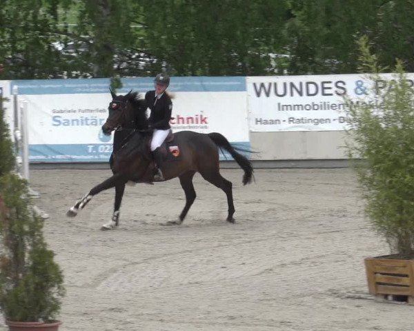 Reitturnier Monheim - Gut Blee 2023