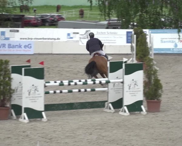 Reitturnier Monheim - Gut Blee 2023