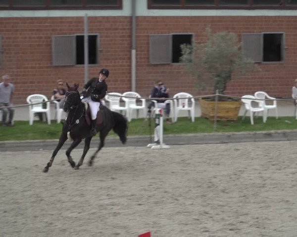 Reitturnier Monheim - Gut Blee 2023