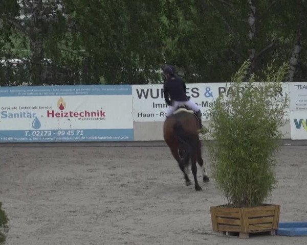 Reitturnier Monheim - Gut Blee 2023