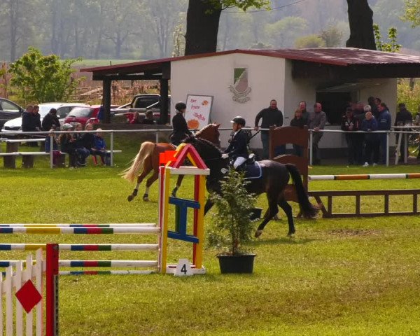 Reitturnier Wahlitz 2023