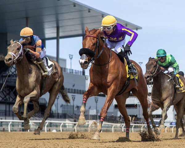 Pferd Promiseher America xx (Englisches Vollblut, 2020, von American Pharoah xx)