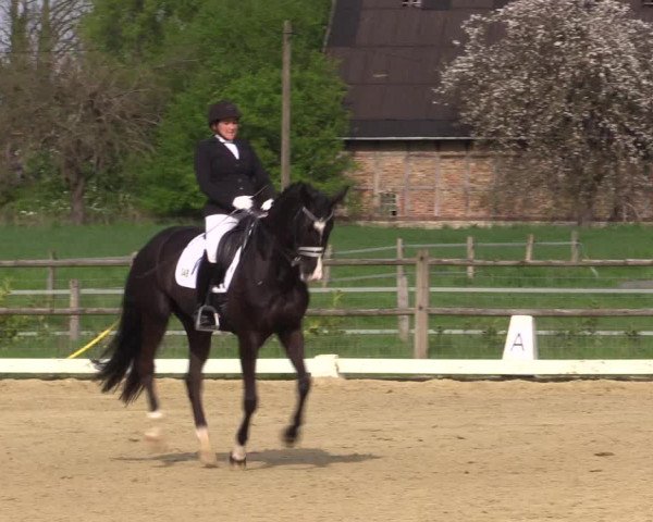Reitturnier Warendorf 2023