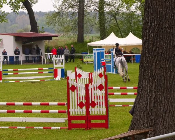 Reitturnier Wahlitz 2023