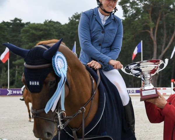 Springpferd Bise des Bardellieres (Selle Français, 2011, von Lamm de Fétan)