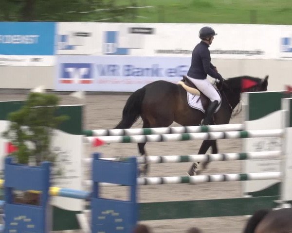 Reitturnier Monheim - Gut Blee 2023